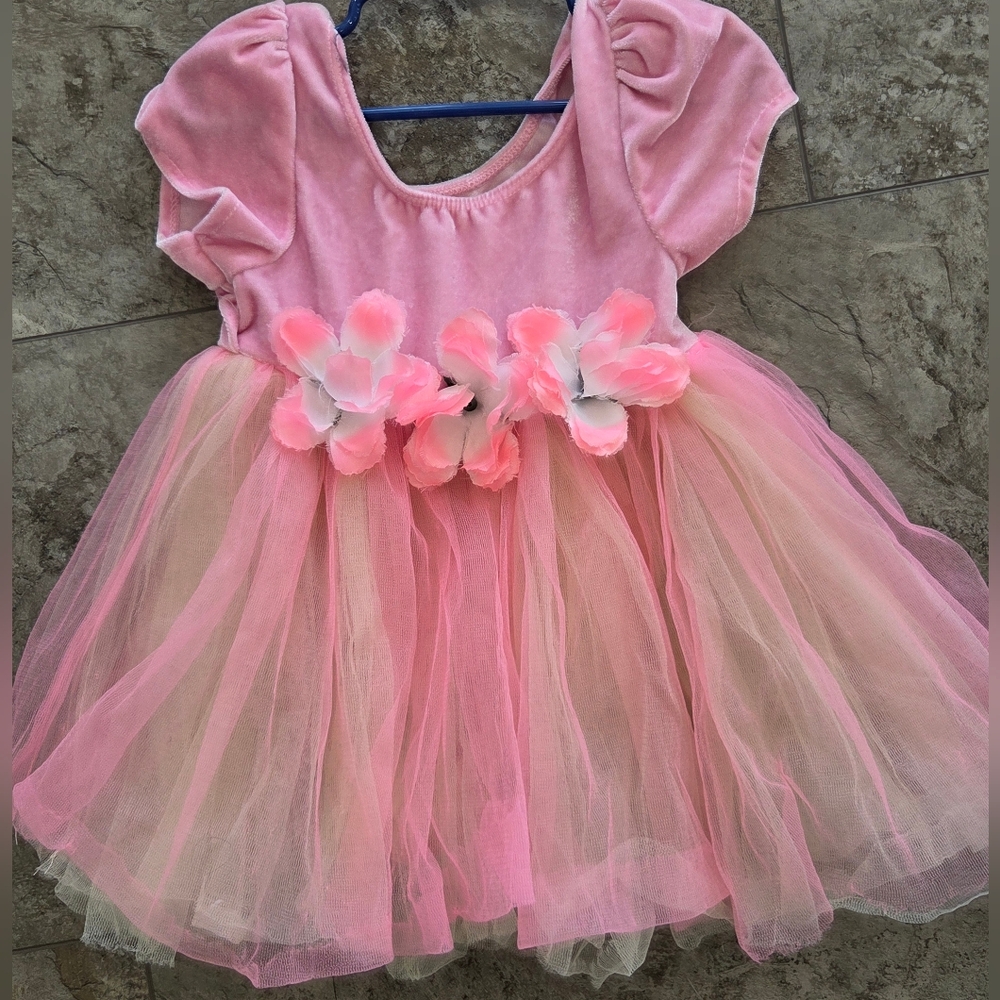 Pink Floral Princess Fairy Kids Costume Dress, 12-24m